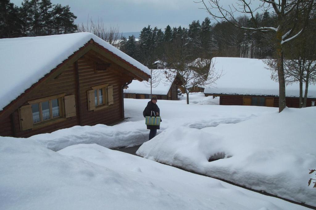 Willa Blockhaus Hedwig Stamsried Zewnętrze zdjęcie
