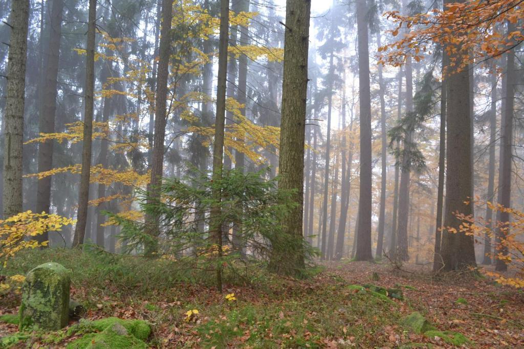 Willa Blockhaus Hedwig Stamsried Zewnętrze zdjęcie
