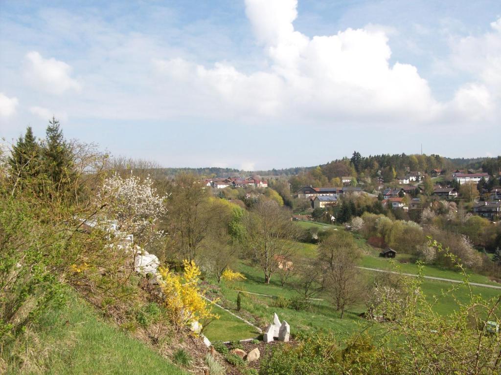 Willa Blockhaus Hedwig Stamsried Zewnętrze zdjęcie