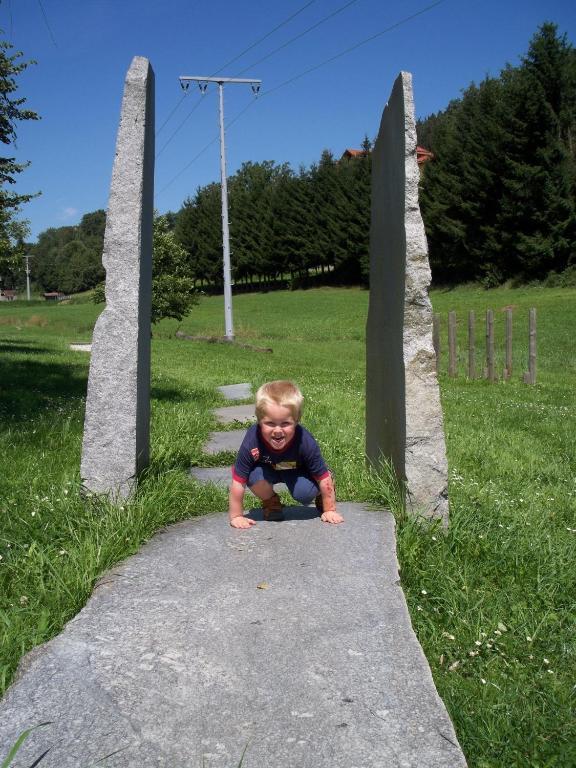 Willa Blockhaus Hedwig Stamsried Zewnętrze zdjęcie